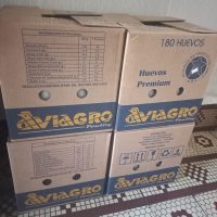 caja de huevos caja de huevos